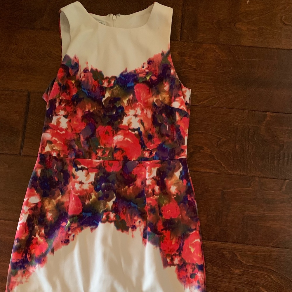 Multiple Dresses - Picture 4 of 4